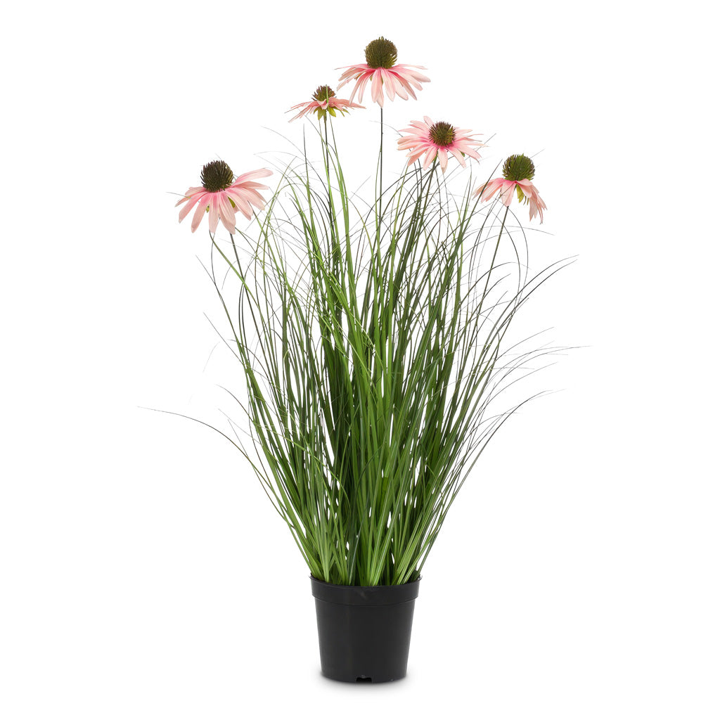 Rudbeckia Grass - Pink - Potted - Artificial