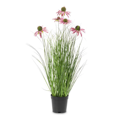 Rudbeckia Grass - Purple - Potted - Artificial