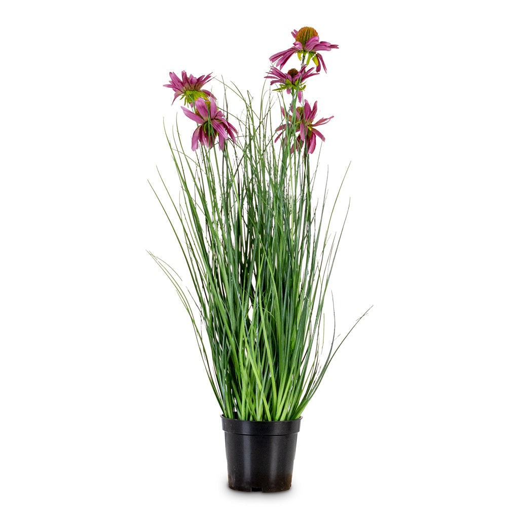 Rudbeckia Grass - Purple - Potted - Artificial