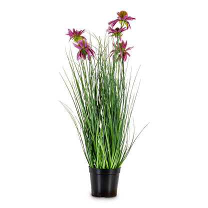Rudbeckia Grass - Purple - Potted - Artificial