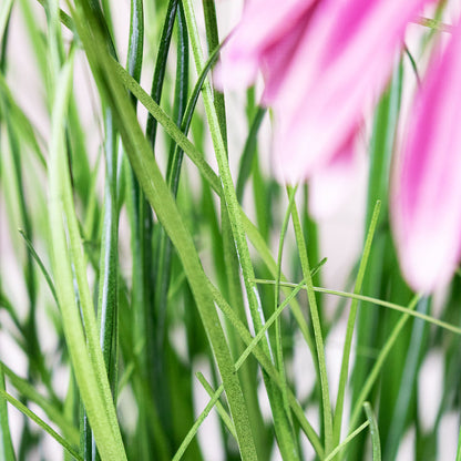 Rudbeckia Grass - Purple - Potted - Artificial
