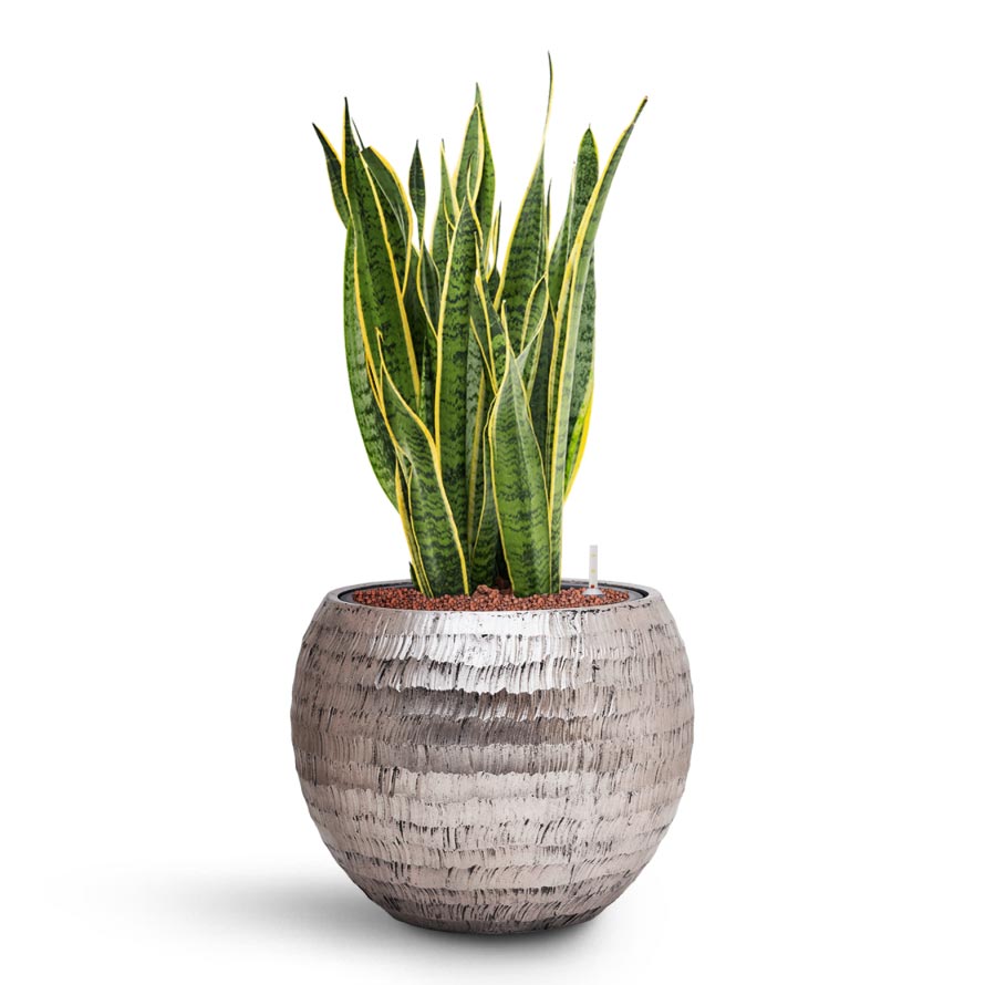 Opus Hammered Globe Planter - XL Plant Display