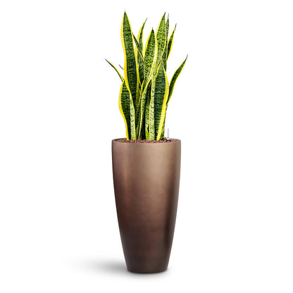 Gradient Partner Planter - XL Plant Display