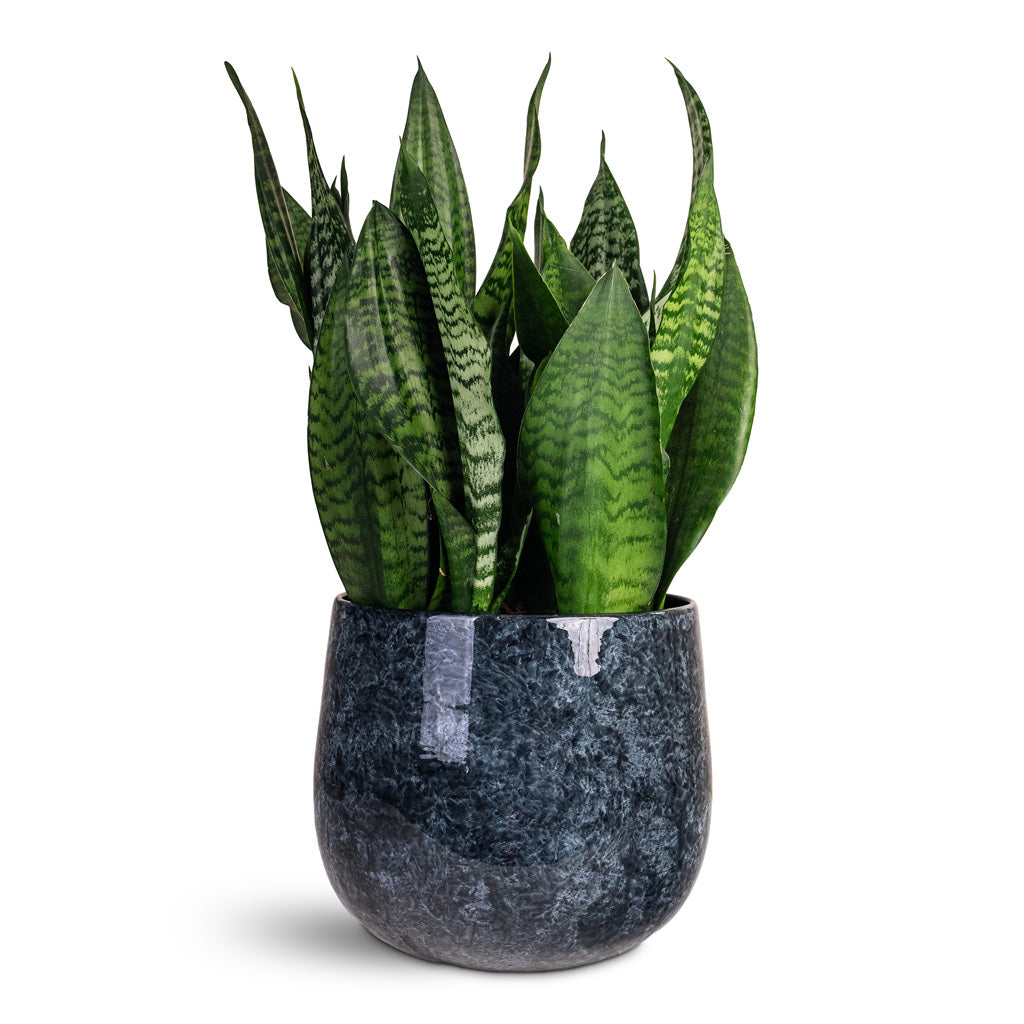 Emmie Metal Plant Pot - Mystic Blue