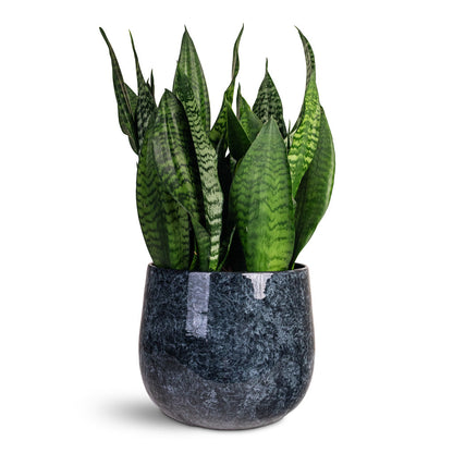 Emmie Metal Plant Pot - Mystic Blue