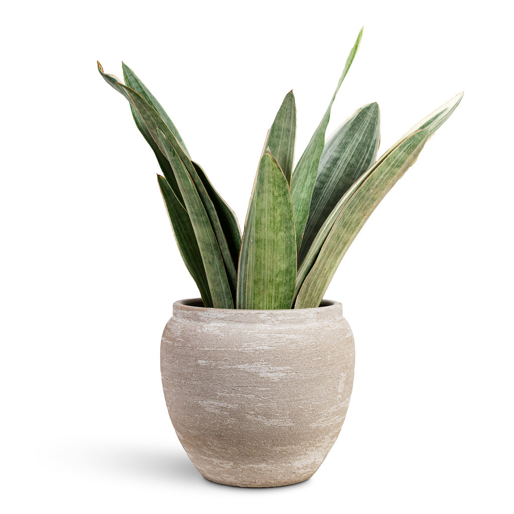 Milos Plant Pot - Lunar