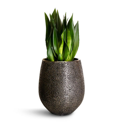 Opus Hit Darcy Planter - Large Plant Display