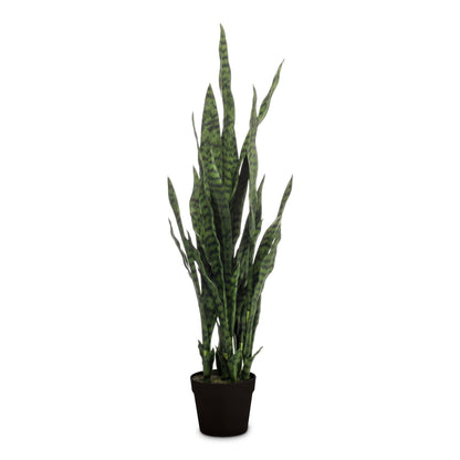 Sansevieria zeylanica - Snake Plant - Potted - Artificial