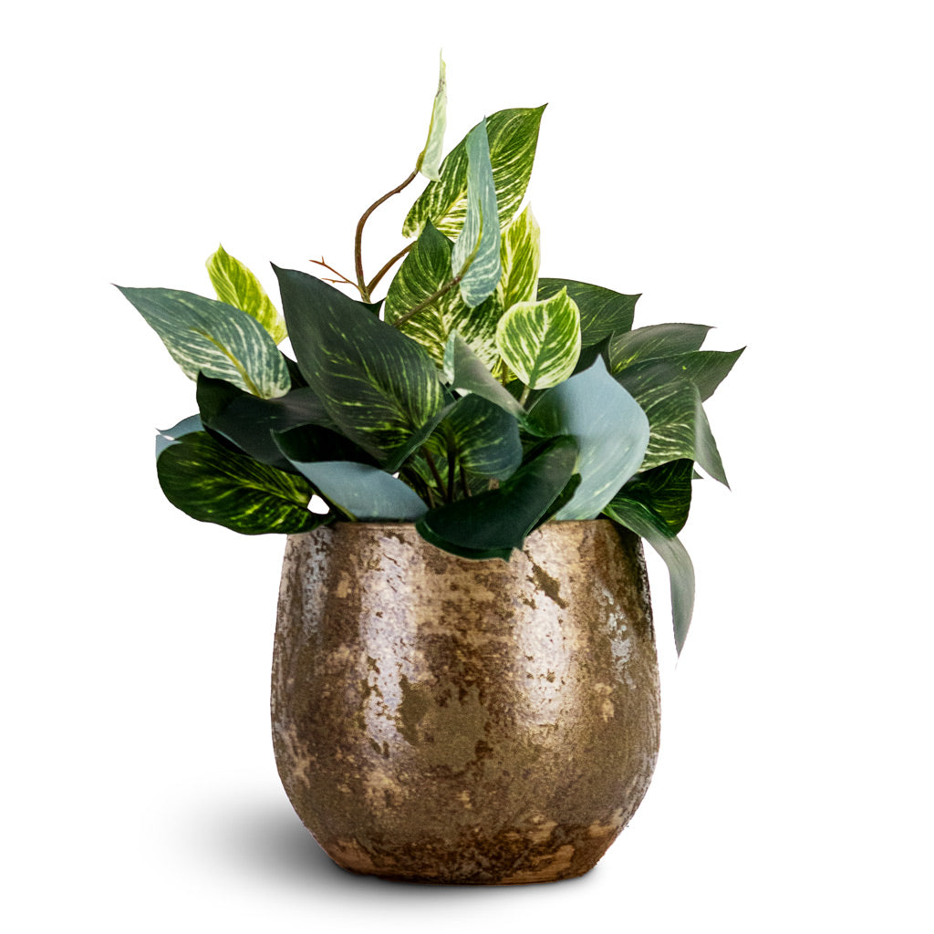 Scindapsus Bush - Green White - Potted - Artificial