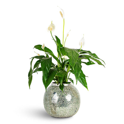 Mosaic Metal Plant Pot - Mirror