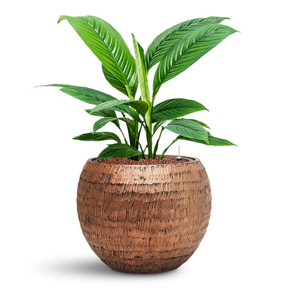 Opus Hammered Globe Planter - Large Plant Display