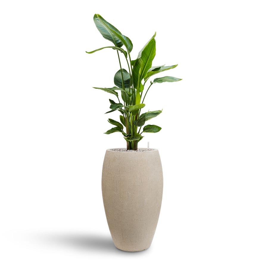 Raindrop Tall Balloon Planter - XL Plant Display