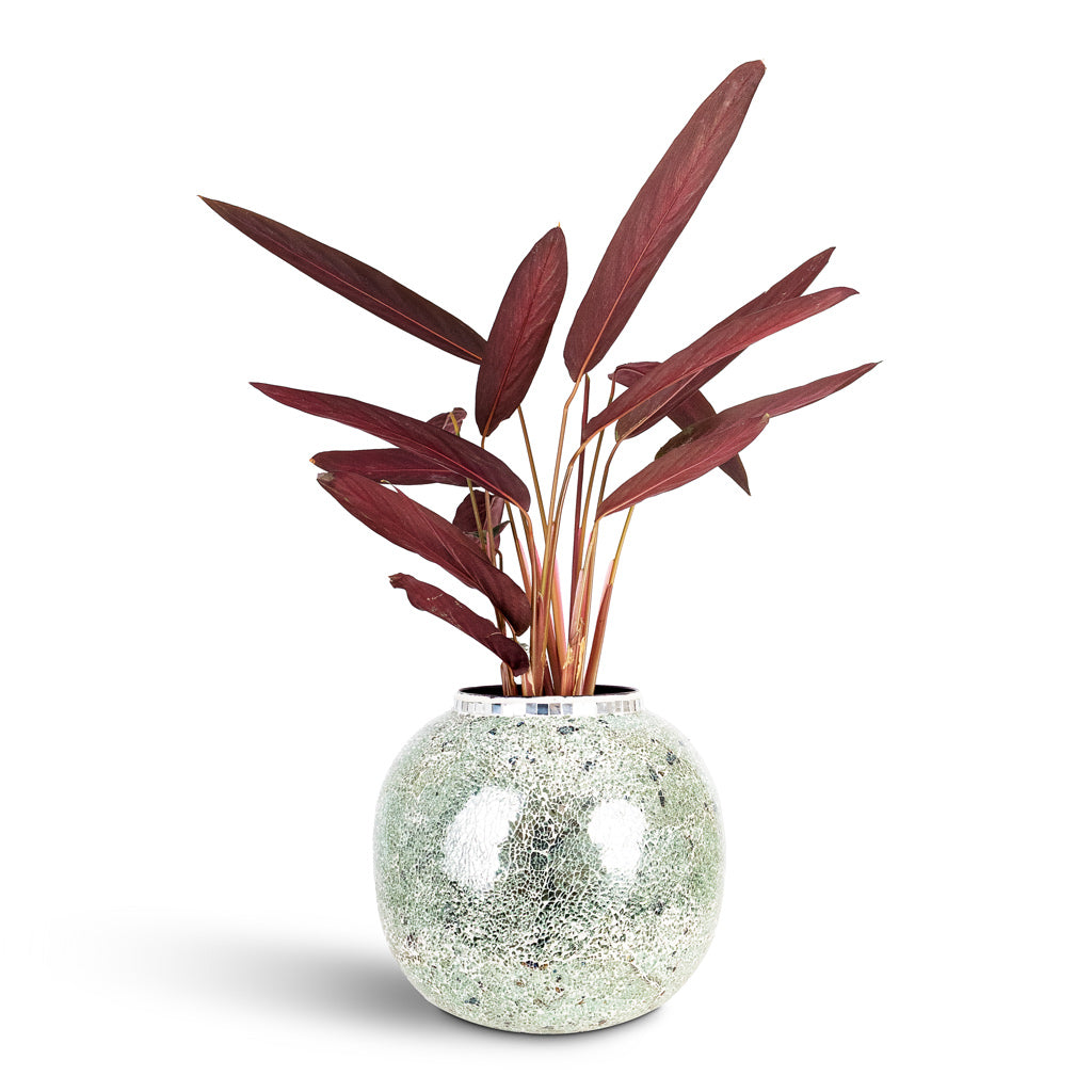 Mosaic Metal Plant Pot - Mirror