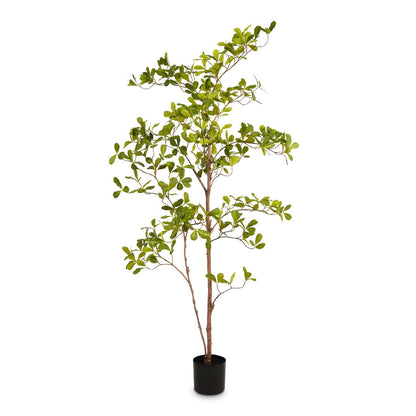 Terminalia Tree - Potted - Artificial