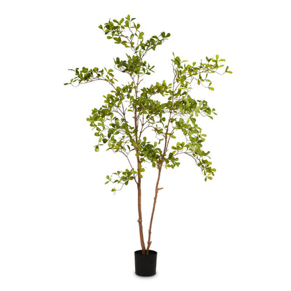 Terminalia Tree - Potted - Artificial