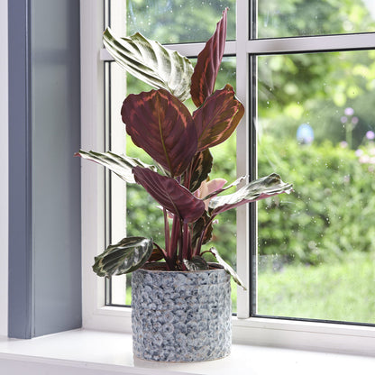 Terni Plant Pot - Denim