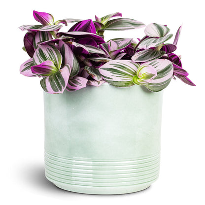 Munich Plant Pot - Green Gloss