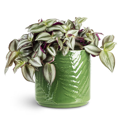 Orla Fern Plant Pot - Emerald