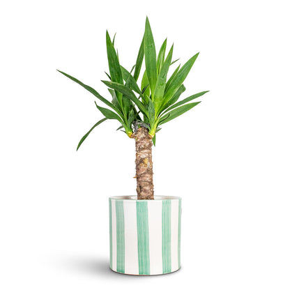 Paros Painted Plant Pot - Green Stripe
