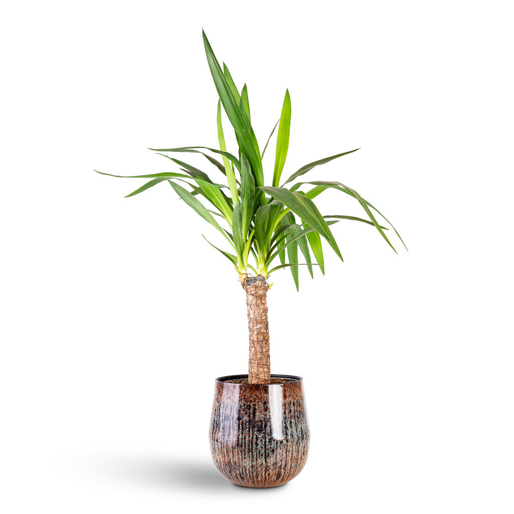 Cilia Metal Plant Pot - Mystic Sepia