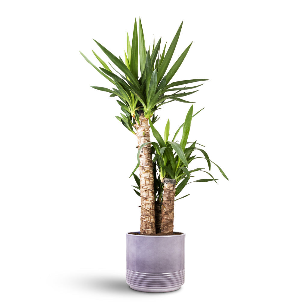 Munich Plant Pot - Grey Gloss