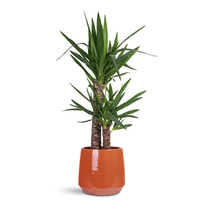Common Plant Pot - Shiny Brick
