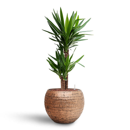 Opus Hammered Globe Planter - Large Plant Display