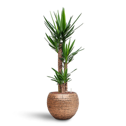 Opus Hammered Globe Planter - XL Plant Display