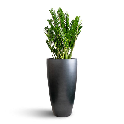 Gradient Partner Planter - XL Plant Display